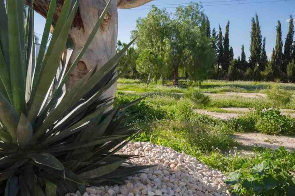 Villa Fina Мурсія Екстер'єр фото
